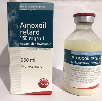 AMOXOIL RETARD 150 MG
